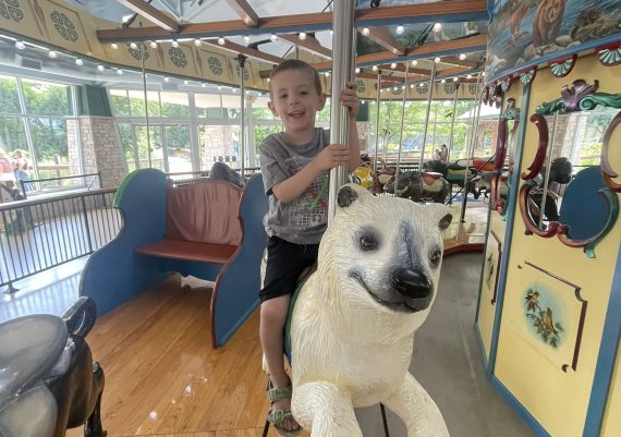 Zoo Carousel