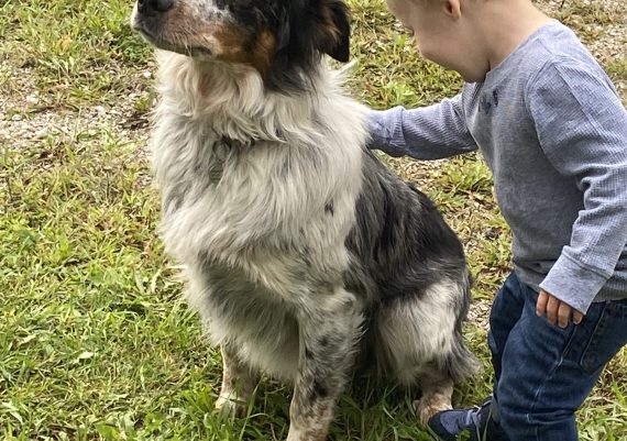 Meeting Loki the Dog