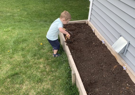 Planting the Garden